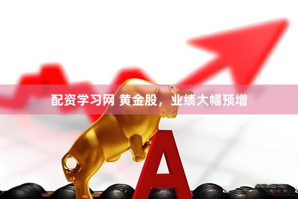 配资学习网 黄金股，业绩大幅预增